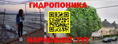 гидра Тверь