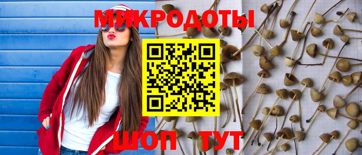 Галлюциногенные грибы мухоморы Ногинск