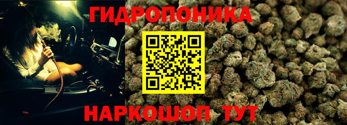 Шишки марихуана планчик Ногинск